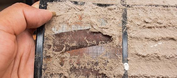 affordable air duct/dryer vent cleaning